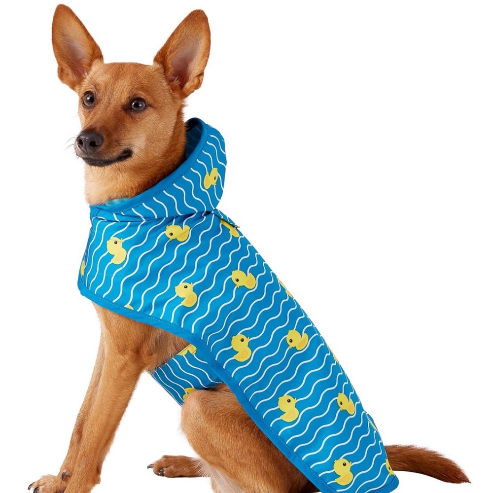 Blue Dog Raincoat with Duck Pattern